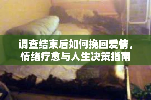 调查结束后如何挽回爱情，情绪疗愈与人生决策指南