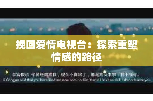 挽回爱情电视台：探索重塑情感的路径