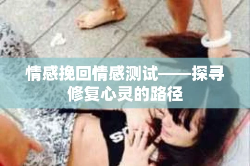 情感挽回情感测试——探寻修复心灵的路径