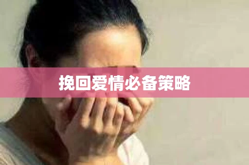 挽回爱情必备策略