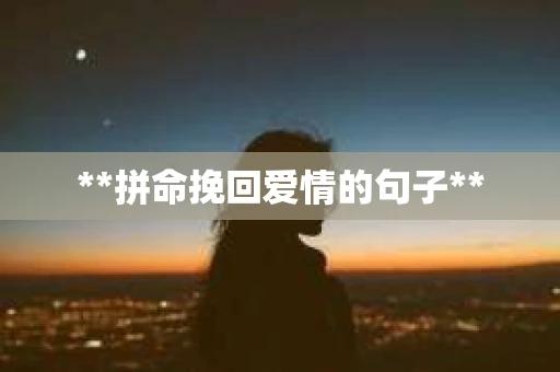 **拼命挽回爱情的句子**