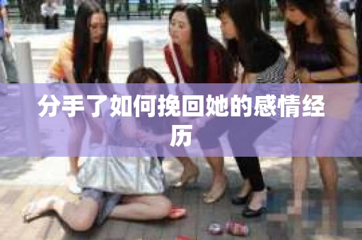 分手了如何挽回她的感情经历