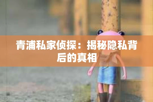 青浦私家侦探：揭秘隐私背后的真相