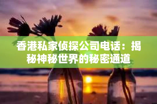 香港私家侦探公司电话：揭秘神秘世界的秘密通道