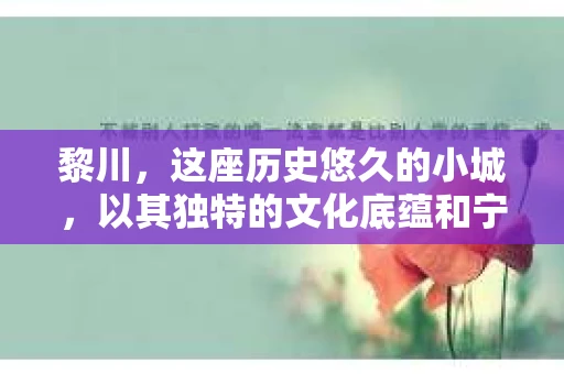 黎川，这座历史悠久的小城，以其独特的文化底蕴和宁静的生活节奏吸引着无数游客。然而，在这样一个看似平静的城市里，你是否会好奇，有没有私家侦探机构的存在呢？今天，就让我带你一探究竟。