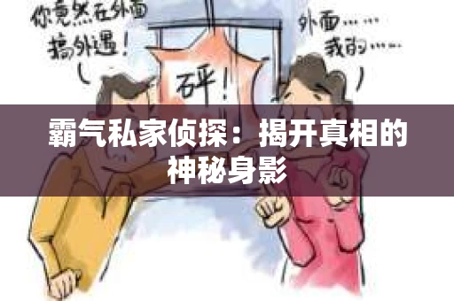 霸气私家侦探：揭开真相的神秘身影