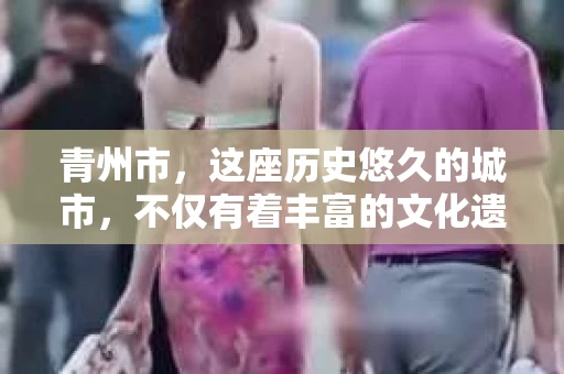 青州市，这座历史悠久的城市，不仅有着丰富的文化遗产，也有着现代生活的便捷。那么，问题来了——青州市有私家侦探公司吗？这个问题，对于需要侦探服务的人来说，无疑至关重要。接下来，我就来为大家揭开这个谜底。