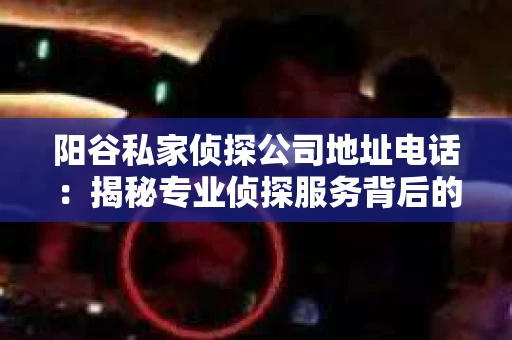 阳谷私家侦探公司地址电话：揭秘专业侦探服务背后的故事