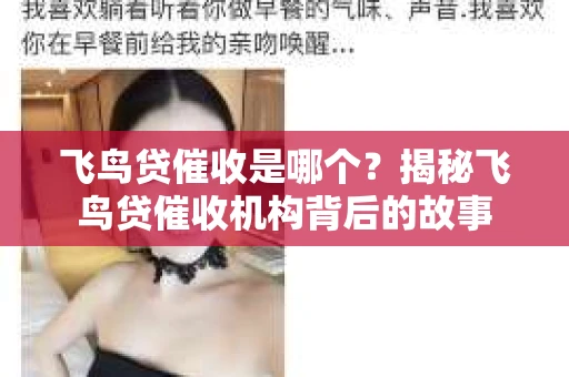 飞鸟贷催收是哪个？揭秘飞鸟贷催收机构背后的故事