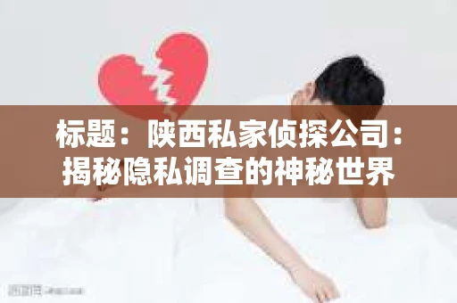 标题：陕西私家侦探公司：揭秘隐私调查的神秘世界