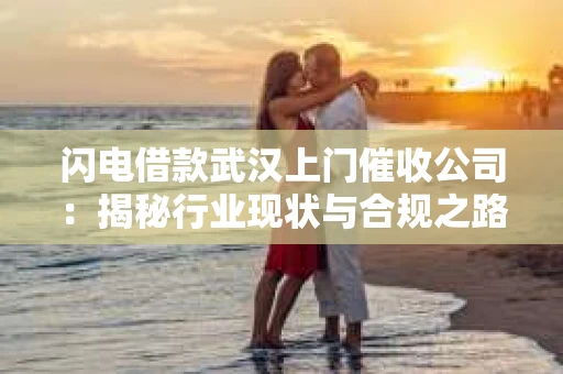 闪电借款武汉上门催收公司：揭秘行业现状与合规之路