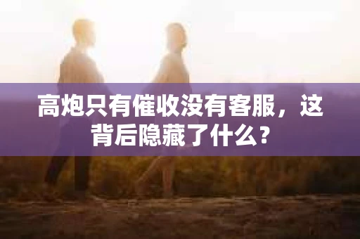 高炮只有催收没有客服，这背后隐藏了什么？