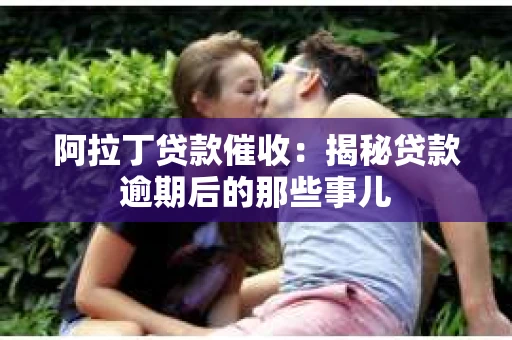 阿拉丁贷款催收：揭秘贷款逾期后的那些事儿