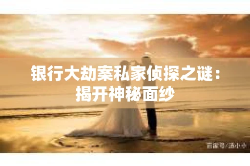 银行大劫案私家侦探之谜：揭开神秘面纱