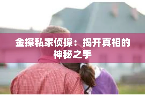金探私家侦探：揭开真相的神秘之手