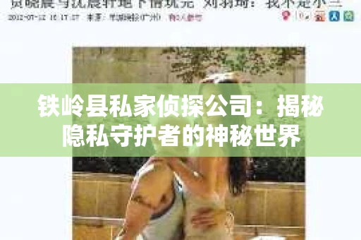 铁岭县私家侦探公司：揭秘隐私守护者的神秘世界