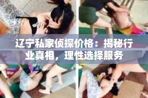 辽宁私家侦探价格：揭秘行业真相，理性选择服务