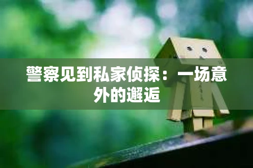 警察见到私家侦探：一场意外的邂逅