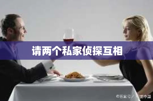 请两个私家侦探互相