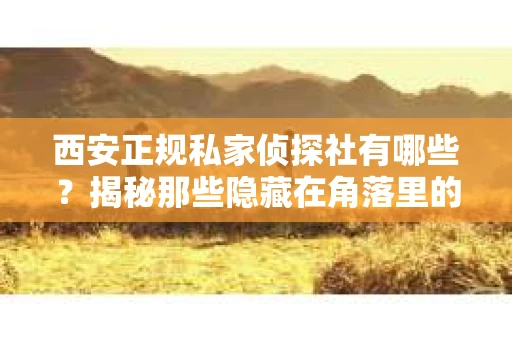 西安正规私家侦探社有哪些？揭秘那些隐藏在角落里的神秘力量