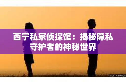西宁私家侦探馆：揭秘隐私守护者的神秘世界