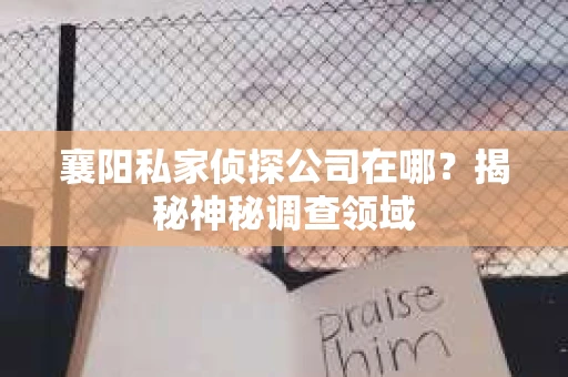 襄阳私家侦探公司在哪？揭秘神秘调查领域