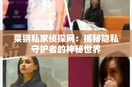 莱钢私家侦探网：揭秘隐私守护者的神秘世界