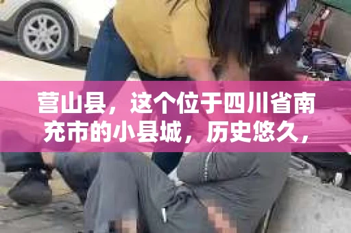 营山县，这个位于四川省南充市的小县城，历史悠久，风景秀丽。但在这个宁静的小县城里，你是否会好奇，有没有私家侦探的存在呢？今天，我就来和大家聊聊这个话题。