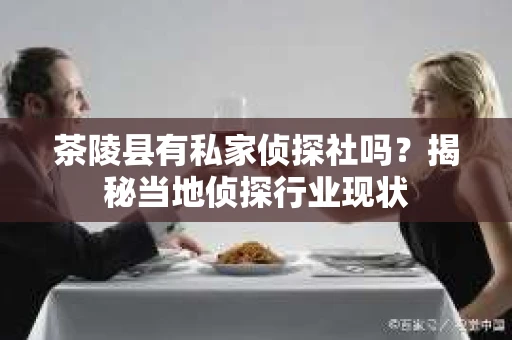 茶陵县有私家侦探社吗？揭秘当地侦探行业现状