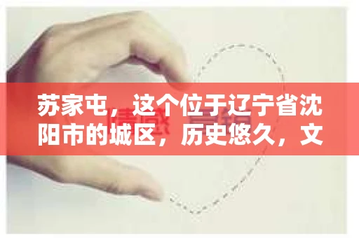 苏家屯，这个位于辽宁省沈阳市的城区，历史悠久，文化底蕴深厚。近年来，随着社会的发展，人们对于私家侦探的需求也逐渐增加。那么，苏家屯有私家侦探吗？今天，我们就来聊聊这个话题。