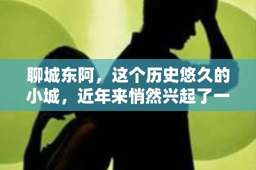 聊城东阿，这个历史悠久的小城，近年来悄然兴起了一股新的服务潮流——私家侦探。今天，我们就来聊聊这个话题，看看在聊城东阿，私家侦探是如何成为人们生活中的一部分的。