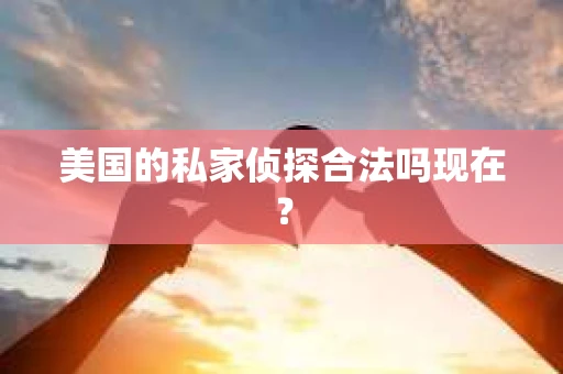美国的私家侦探合法吗现在？