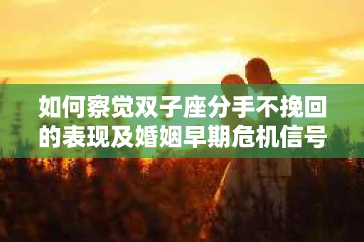 如何察觉双子座分手不挽回的表现及婚姻早期危机信号？