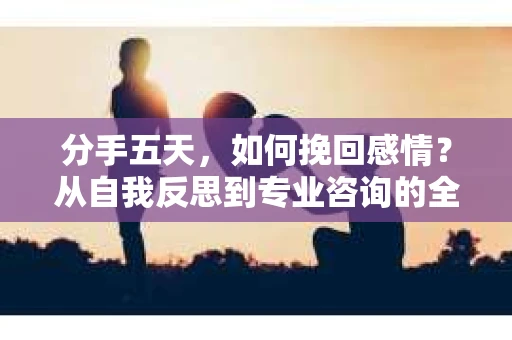 分手五天，如何挽回感情？从自我反思到专业咨询的全面解决方案