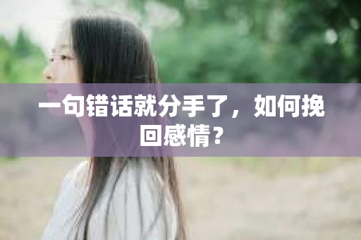一句错话就分手了，如何挽回感情？