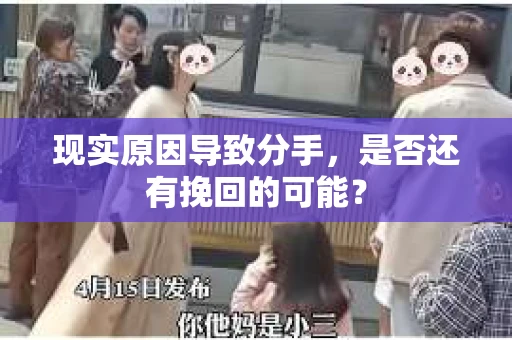 现实原因导致分手，是否还有挽回的可能？