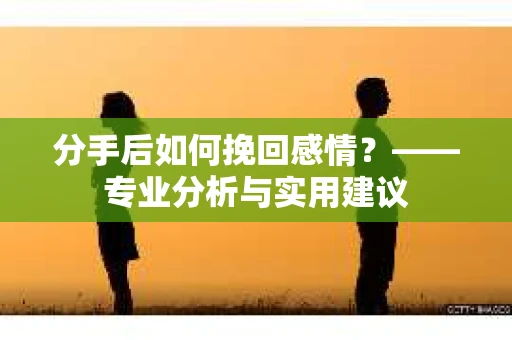 分手后如何挽回感情？——专业分析与实用建议