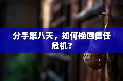 分手第八天，如何挽回信任危机？