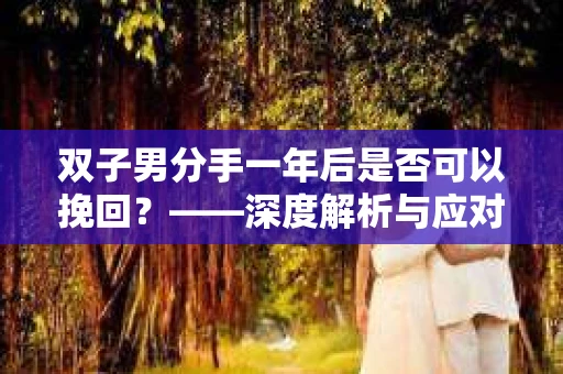 双子男分手一年后是否可以挽回？——深度解析与应对策略