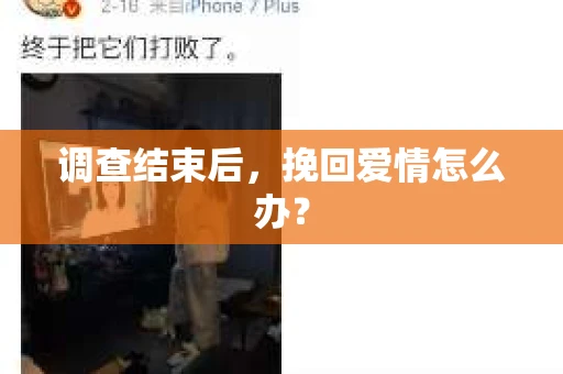 调查结束后，挽回爱情怎么办？